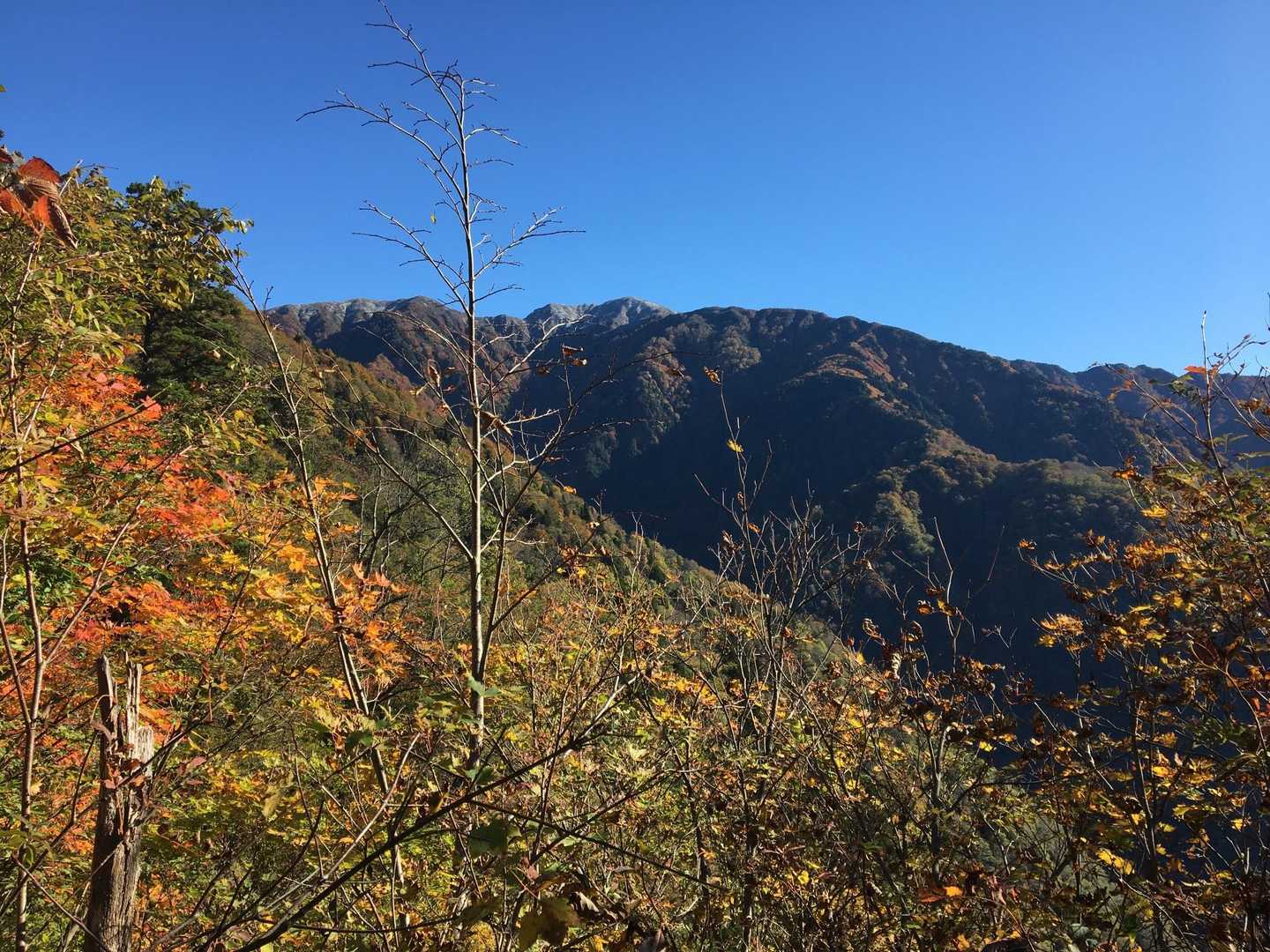 伊折山-成谷山 -僧ヶ岳 往復コースの写真
