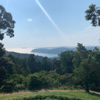 古墳の上からの景色。西陽が差して絶景です。