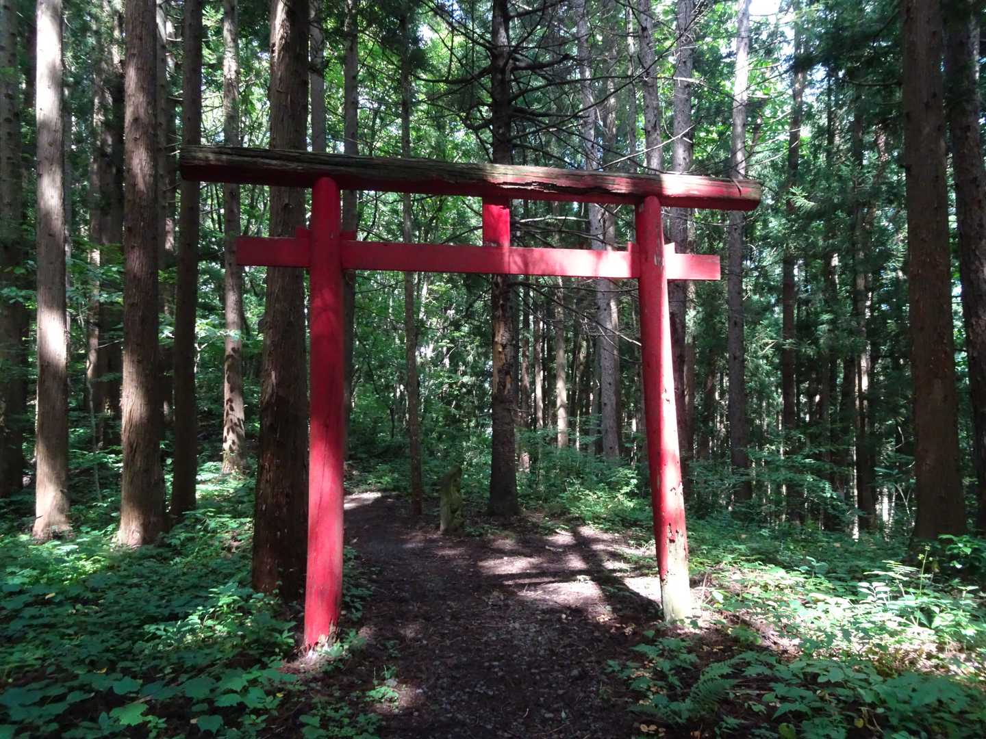久渡寺山-岩落山 周回コースの写真