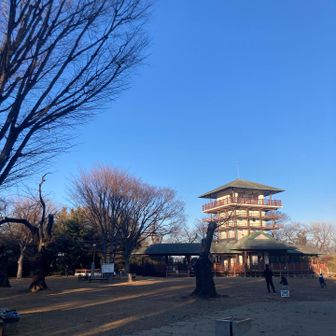 広場西側より枡形山展望台