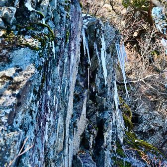 ツララが面白い😆
もっと大きくなるよねー