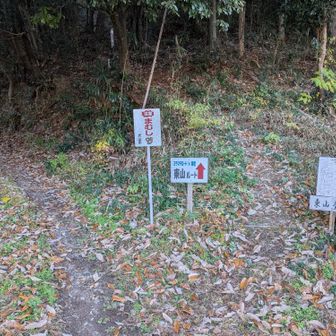 東山ルートへ。行く道