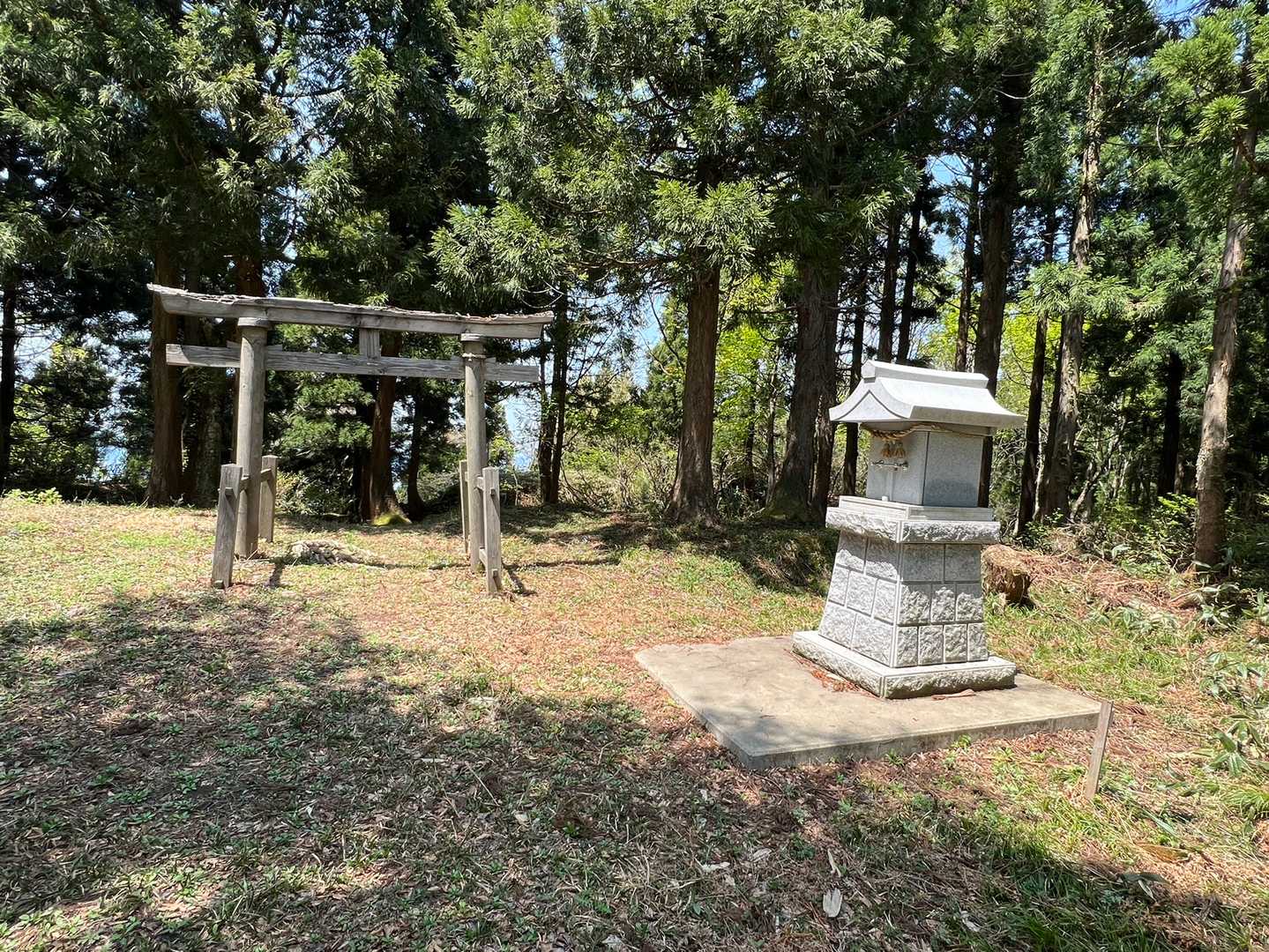 八乙女山五合目登山口-八乙女山-栃原峠-大寺山 往復コースの写真