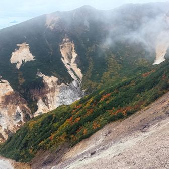 火山特有の景色が広がる中にも紅葉🍁