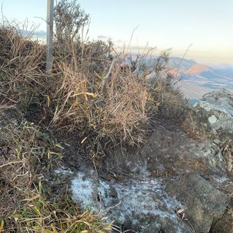 ちょっとだけ霜が。