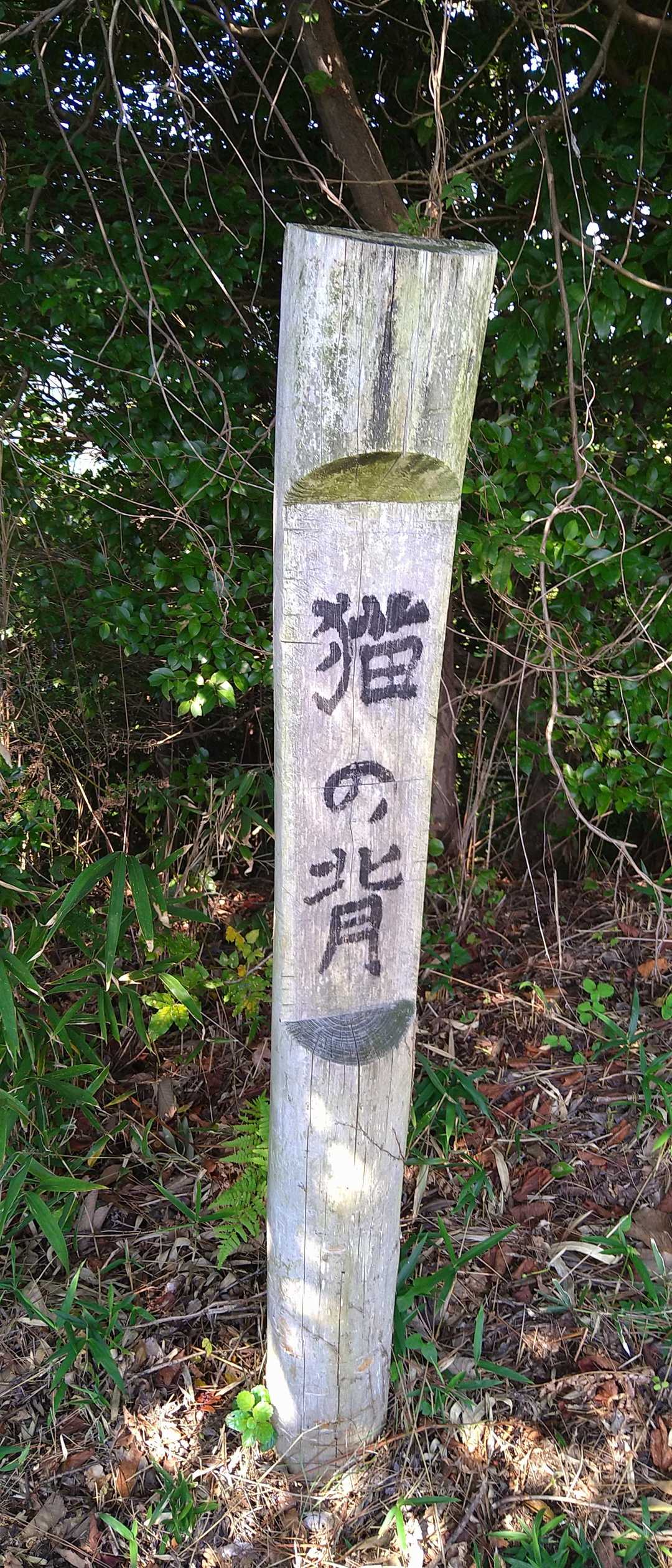 日当たりも良く気持ちいい💕