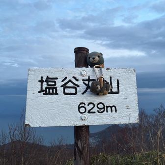トウチョ🐶