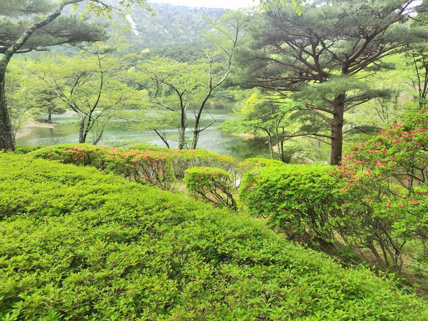 半田沼自然公園