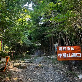 中登山口から