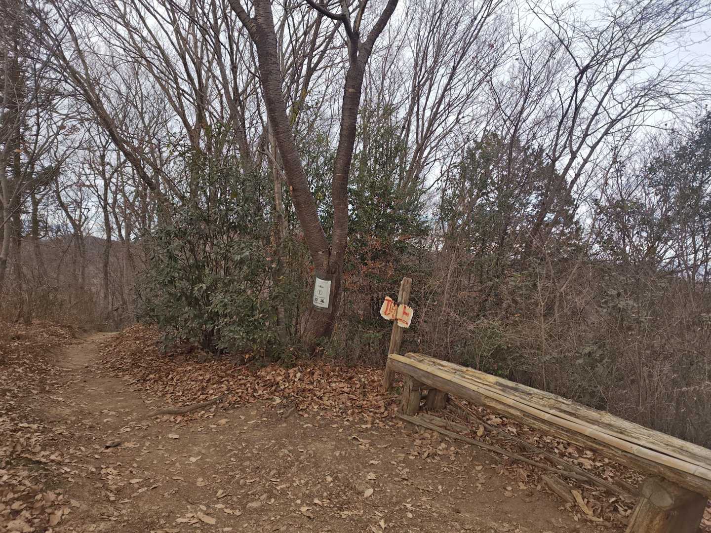 🎍八幡山