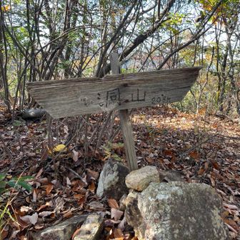 洞山山頂