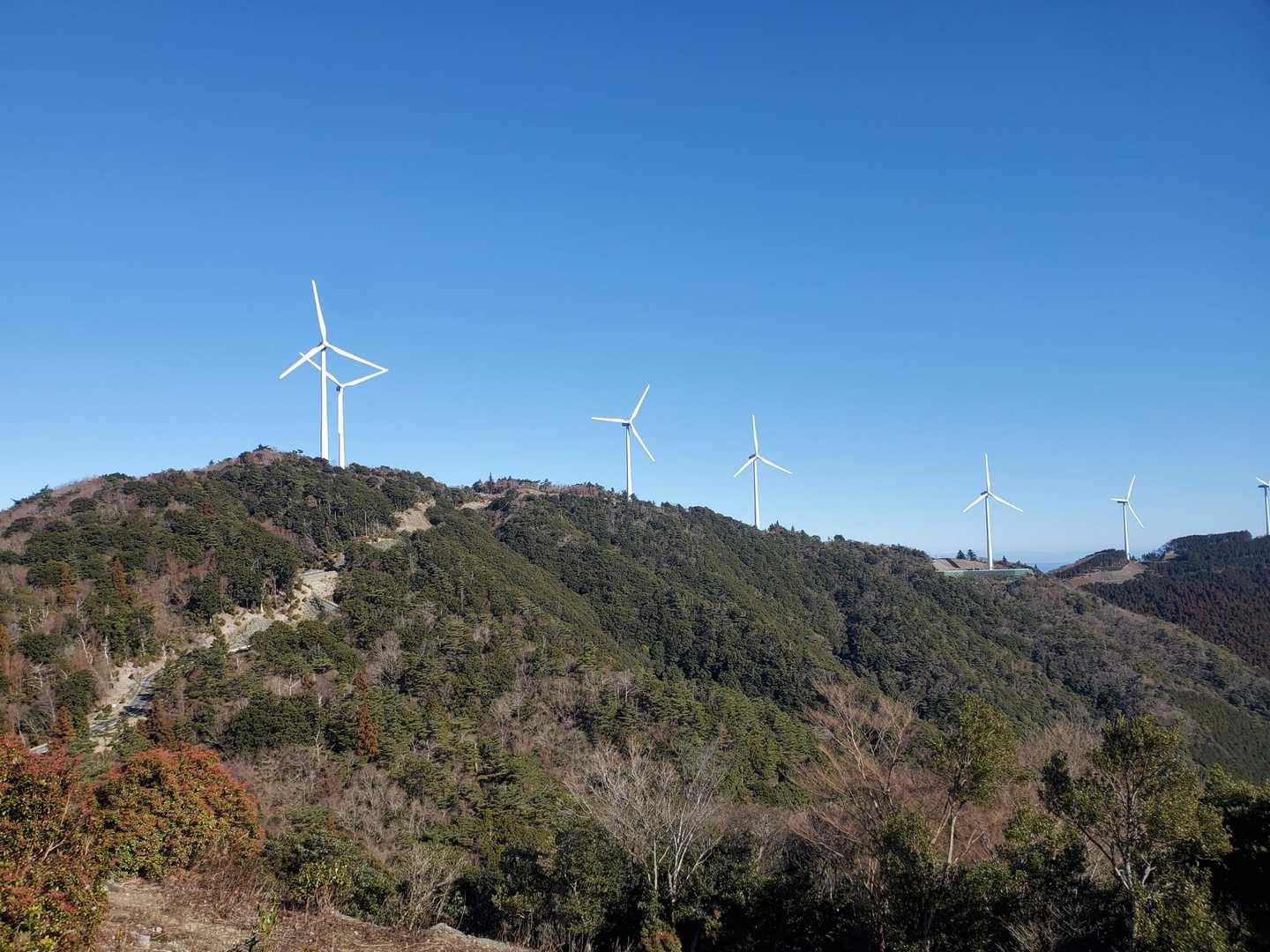 風力発電、エコといえるのだろうか…
