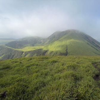 米塚は見れたので杵島岳山頂には戻らず左のお鉢回りみたいなルートを行くことにしました
※ヤブが多くて難儀しました😔