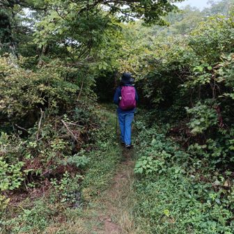 立山コースで下山。