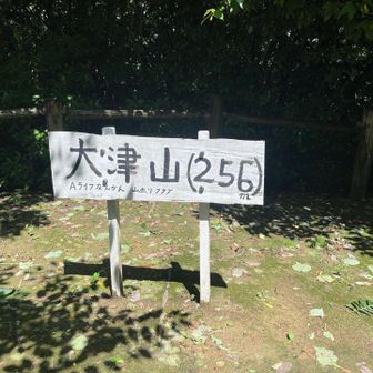 大津山山頂