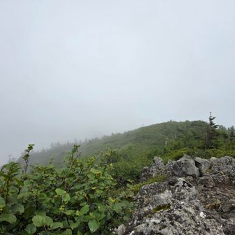 権現岳方向はこんな感じ
いったん雨止みましたね☺️