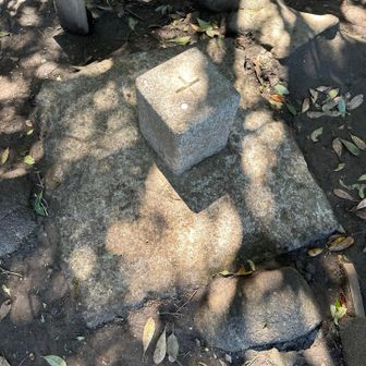 三角点にタッチ