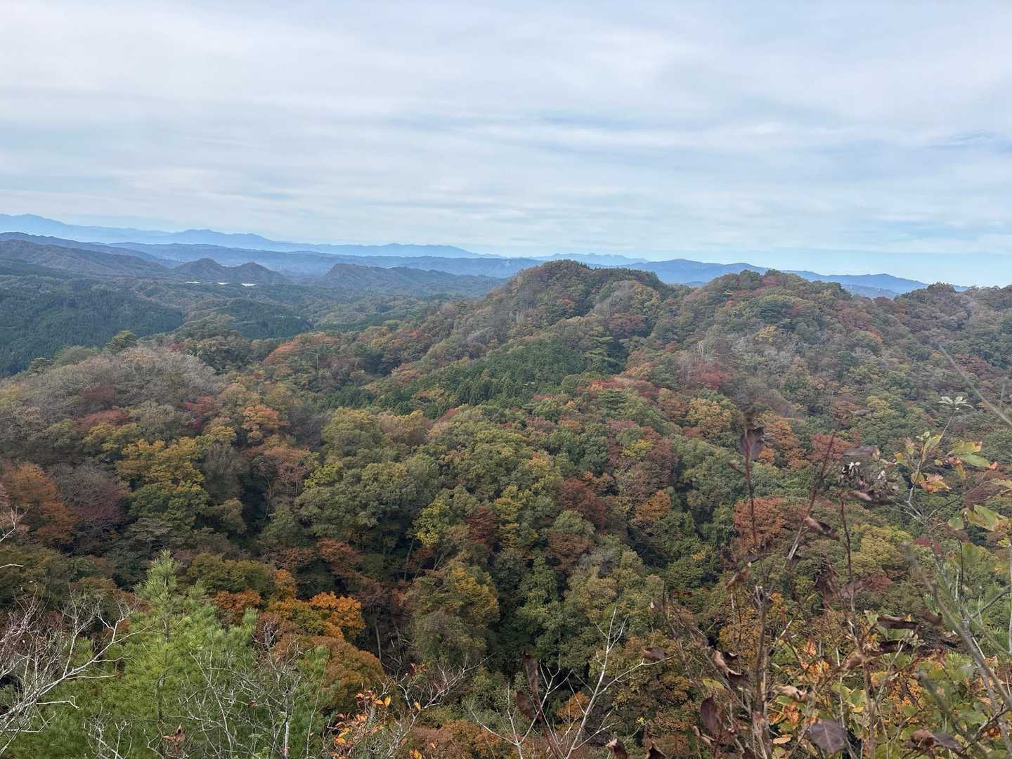 とくに鍋足山の北側が鮮やかでした。
