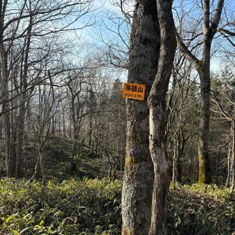 景色は有りません。