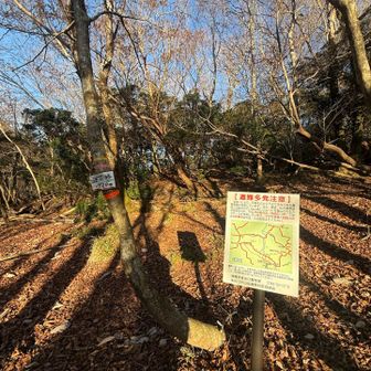道迷い多発！の看板が定期的に💦　確かに迷いそうなところいくつかあった😅