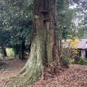 本日最後の14ピーク❗️おつかれ山⛰️