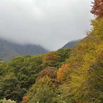 ありがとう。無事に戻れた。

この後、500円の駐車場代を払い、
清水集落の巻機神社に御礼の挨拶をして帰りました。