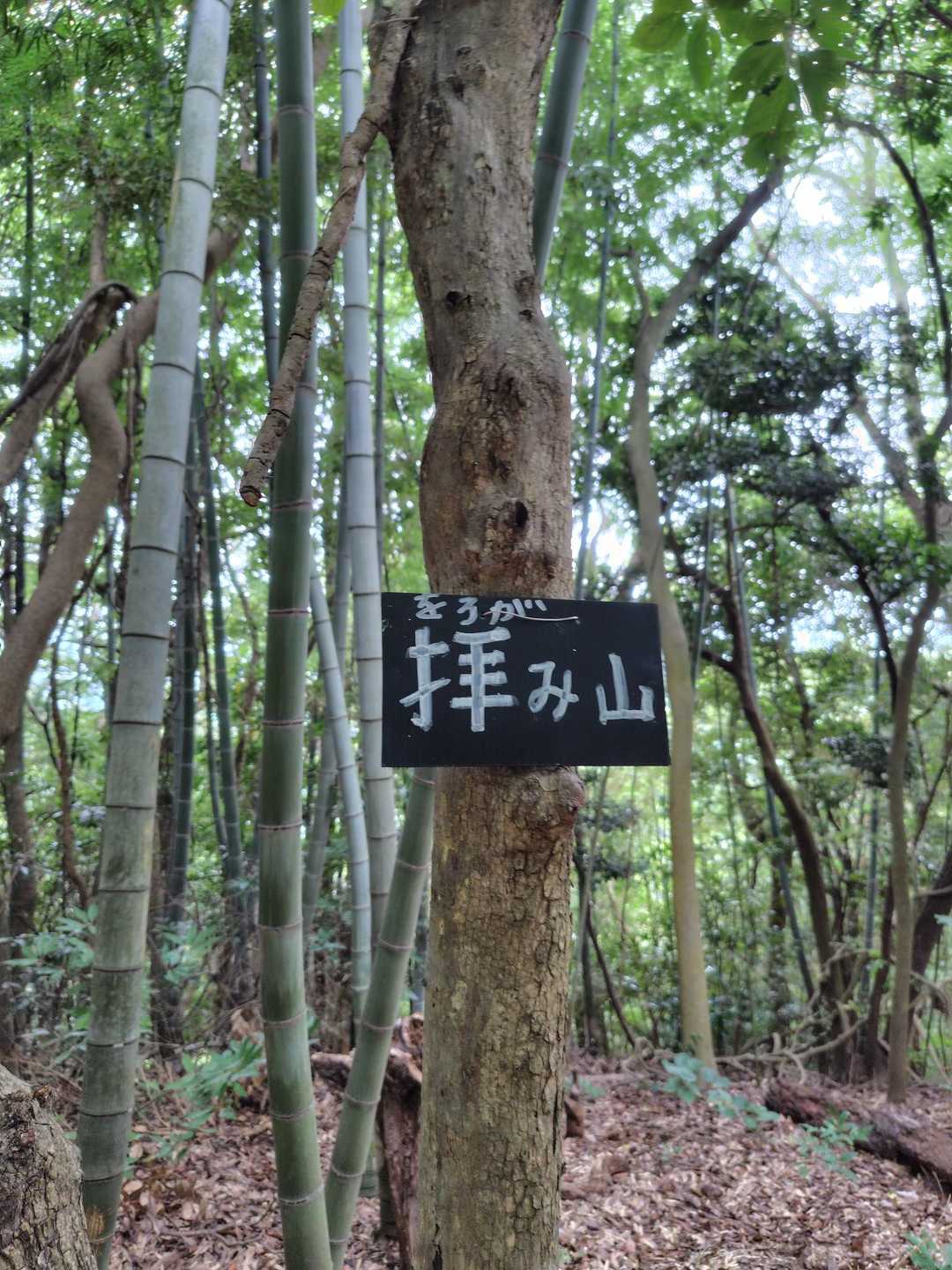 鞍手登山口-妙見山登山口-妙見山-六ヶ岳 周回コースの写真