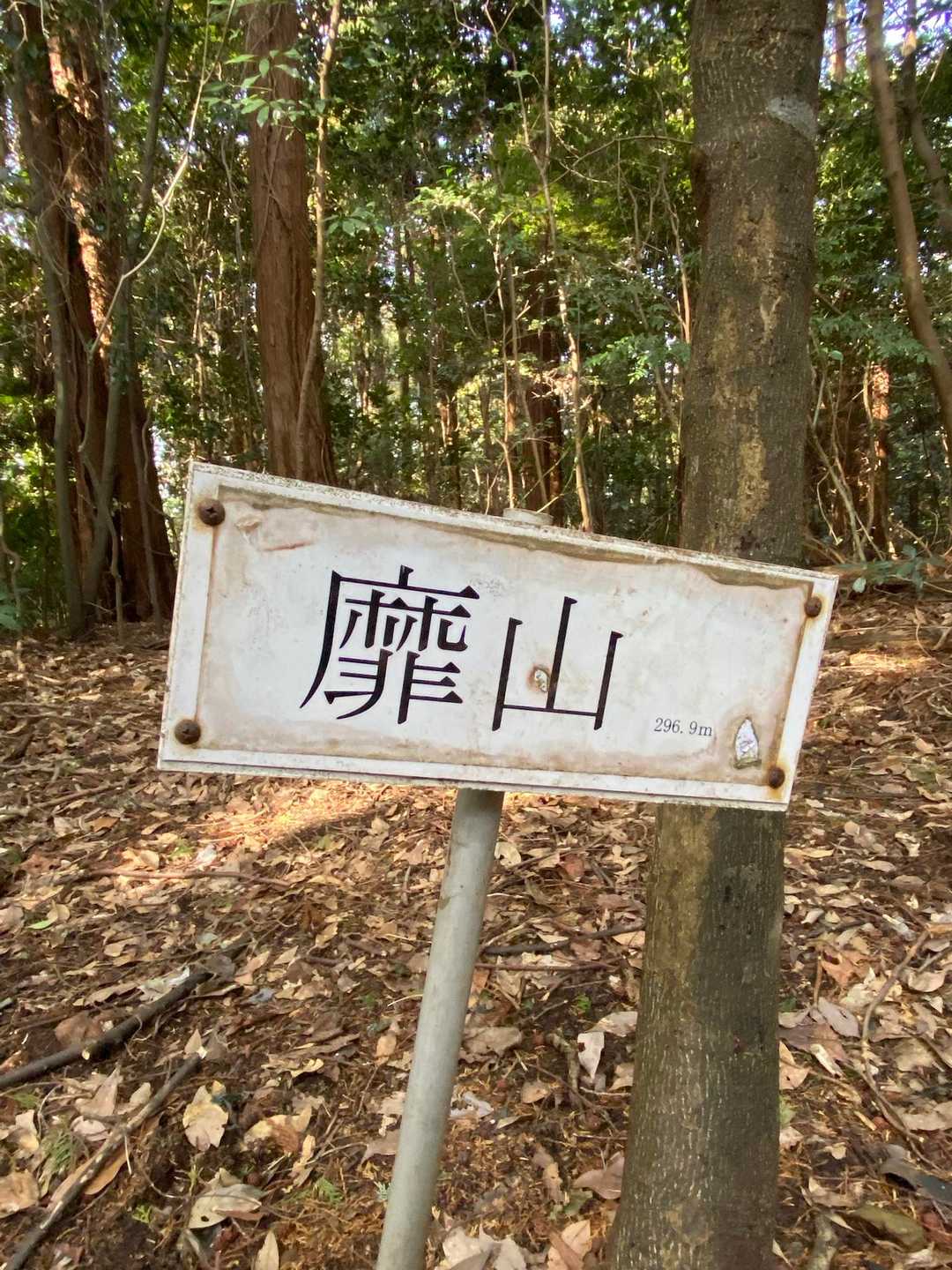 ココが1番のメインかも？😄
