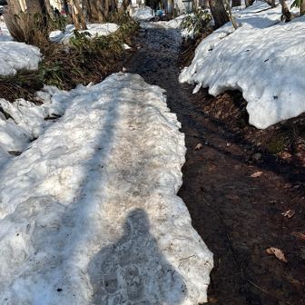 この雪解け水のおかげで靴が濡れました。
