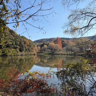 定光寺公園の正伝池