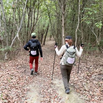 ロードへ戻る途中、前からピークハントチームがやってきた