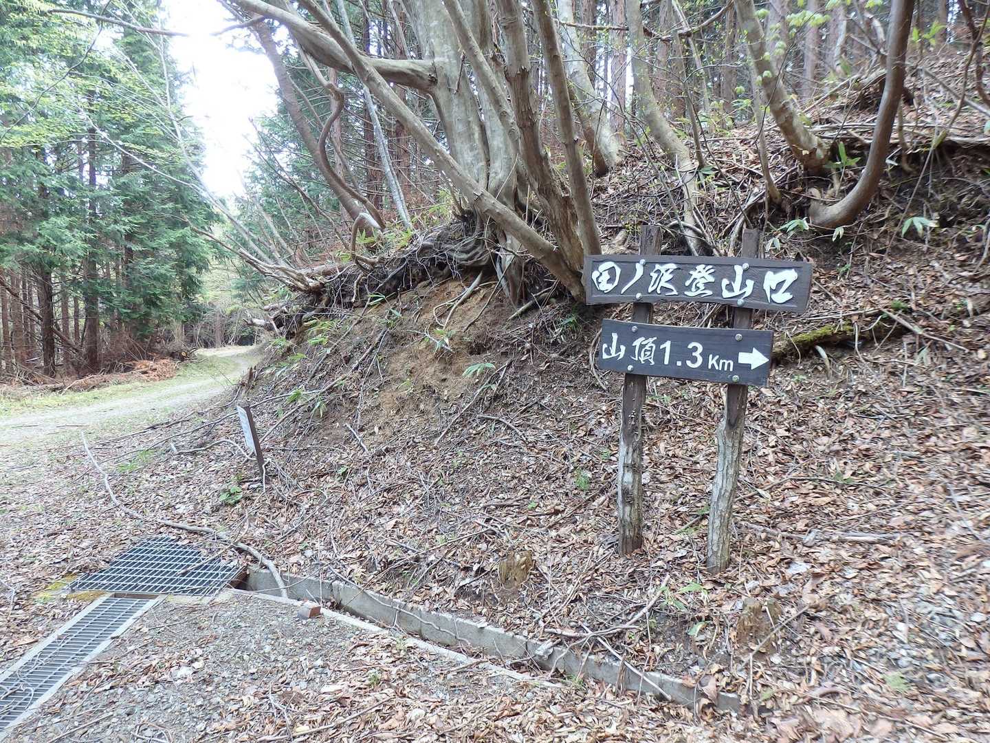 田ノ沢登山口
ここから林道歩きになります