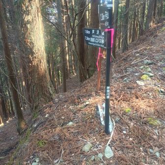 世附峠から世附橋まではここから降ります
九十九折が少し狭めの道だったりしますが、大きな段差などはなく進めました