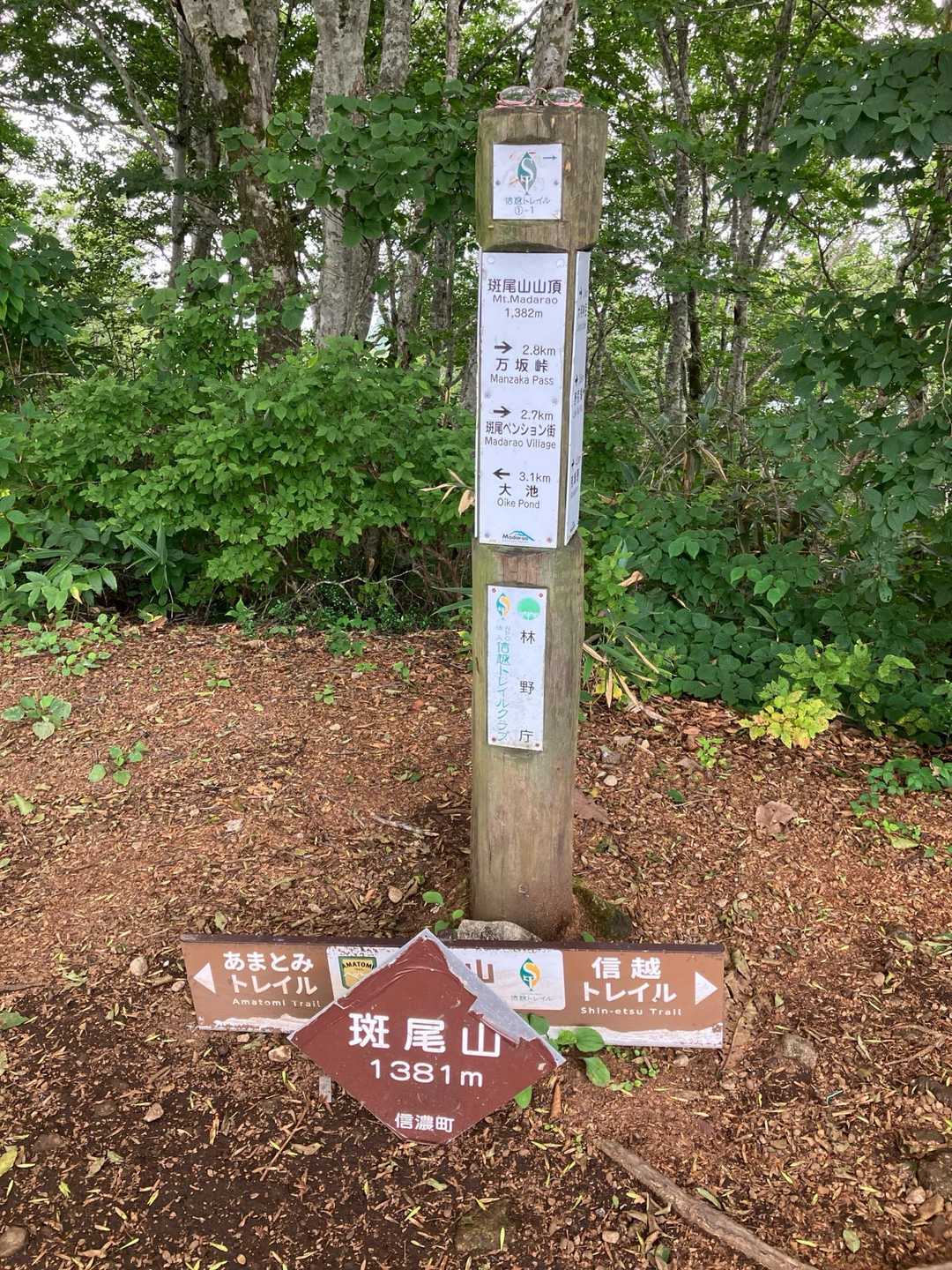 斑尾山 周回コースの写真