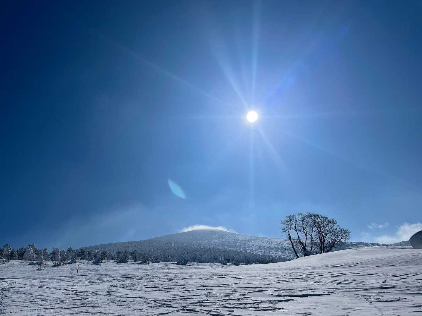 目指す箕輪山見えてきた
頭フサフサ神々しい🪽