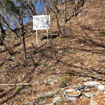 水場は小屋から近い場所にあります