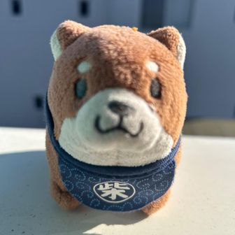 ひーこ