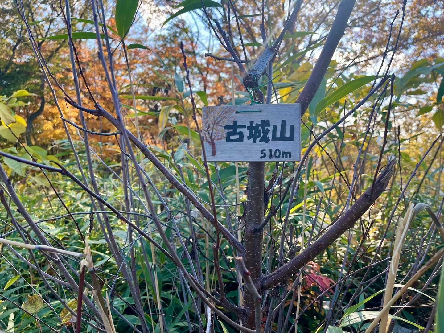 今高野山（古城山）山頂へ到着⛰️