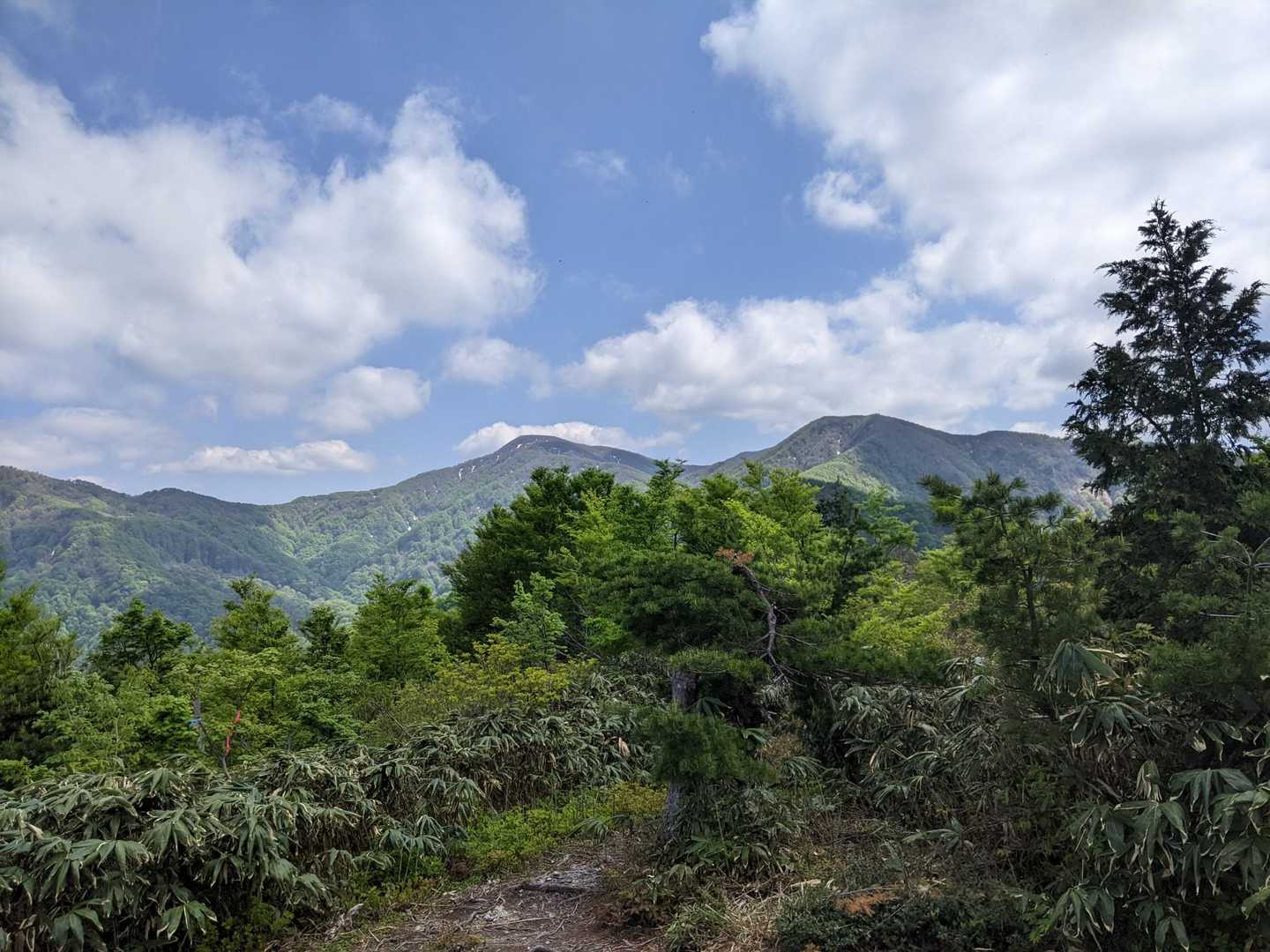 大日山カッコいいね～
ここからのルートは明瞭👀行ってみたい♪