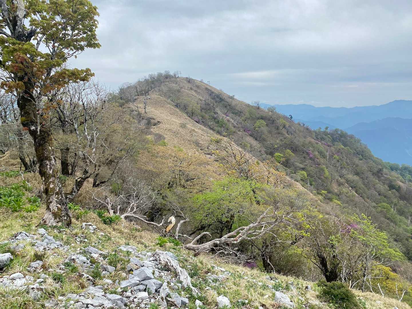 石立山へ！