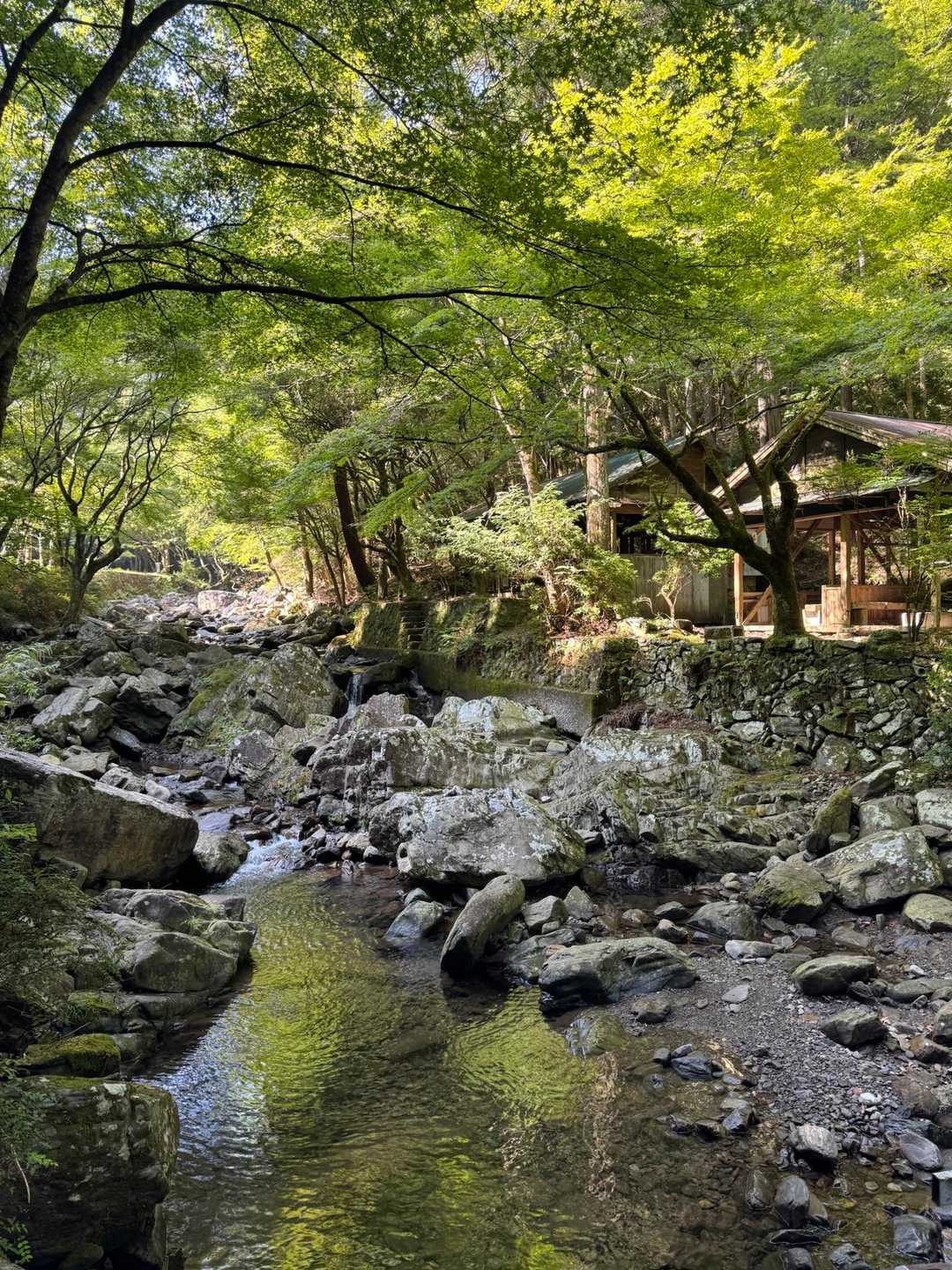くらがりキャンプ場🏕️