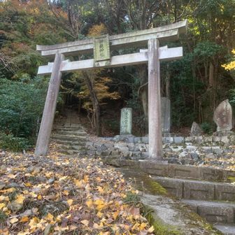 この鳥居をくぐって行く