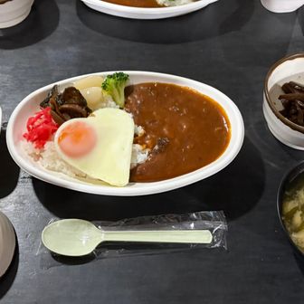 夕食は定番のカレー！ライスおかわり可😄
