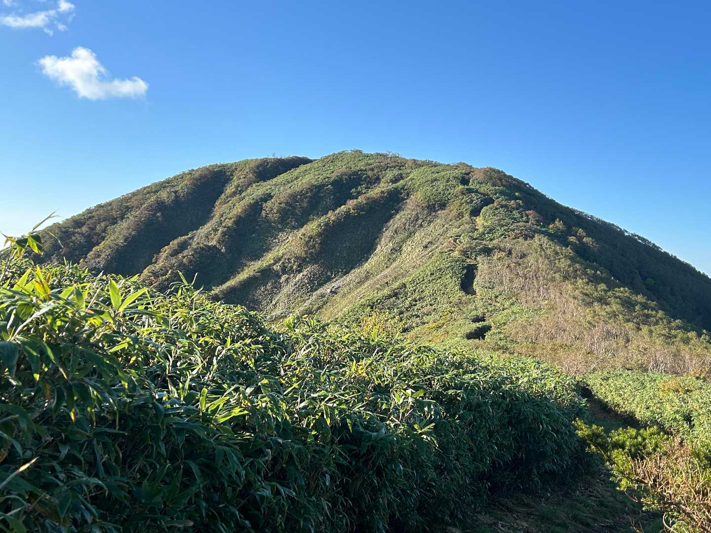 能郷白山に向かう稜線😄
