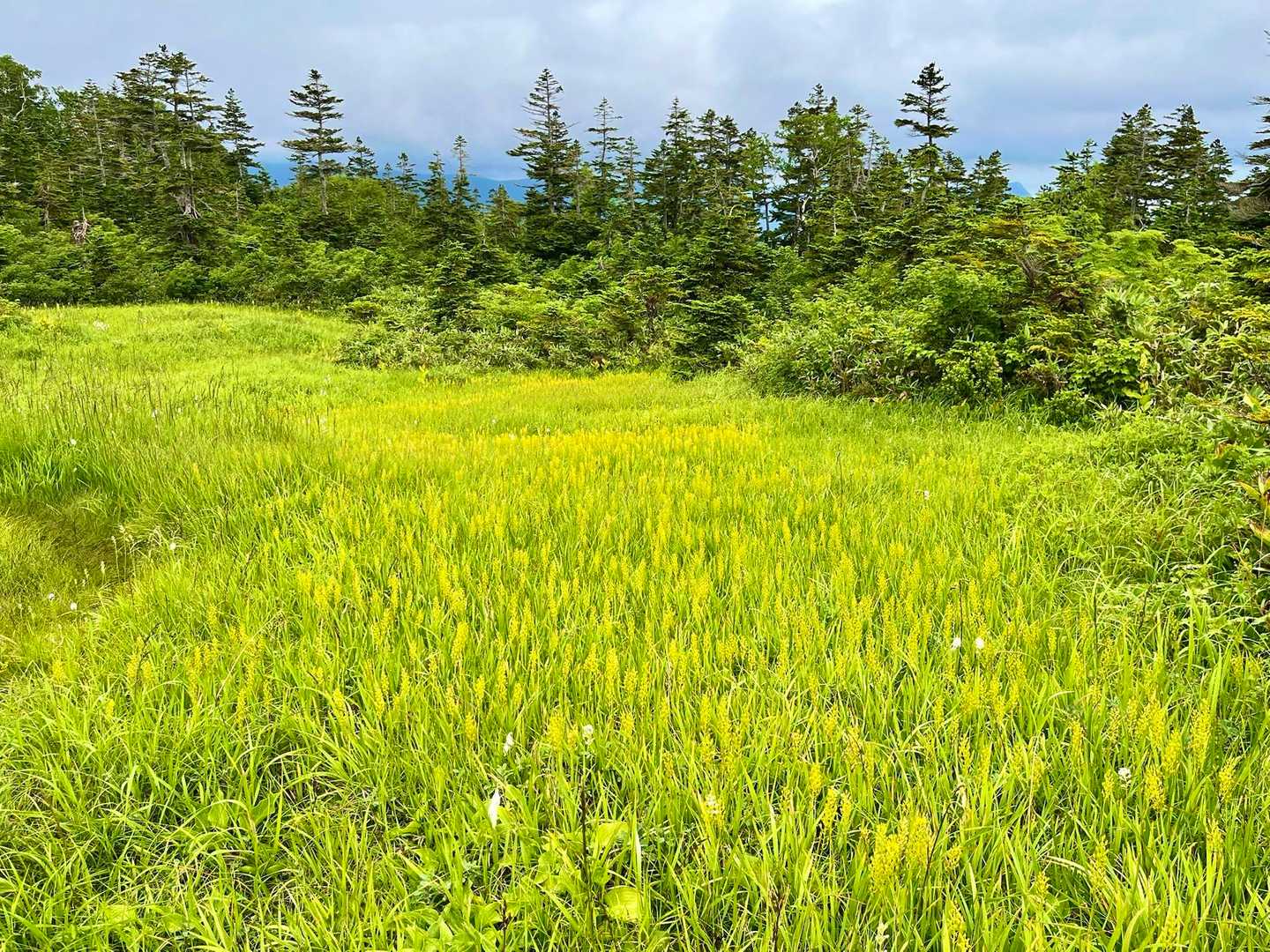 風吹岳 1888m / makoのハイキングデータ | YAMAP / ヤマップ