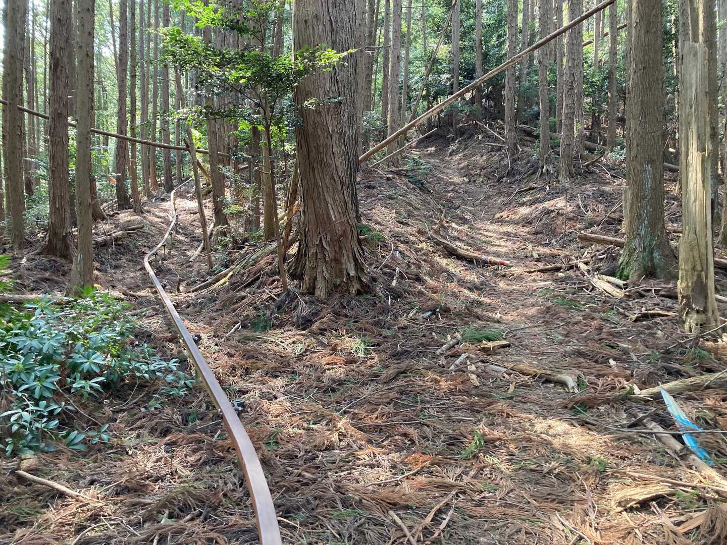 モノレール＝急登
のイメージありますが、ここは違いました。

ここでサヨナラ👋🏻