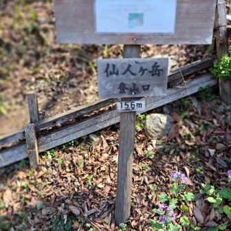 仙人ヶ岳登山口へ無事下山