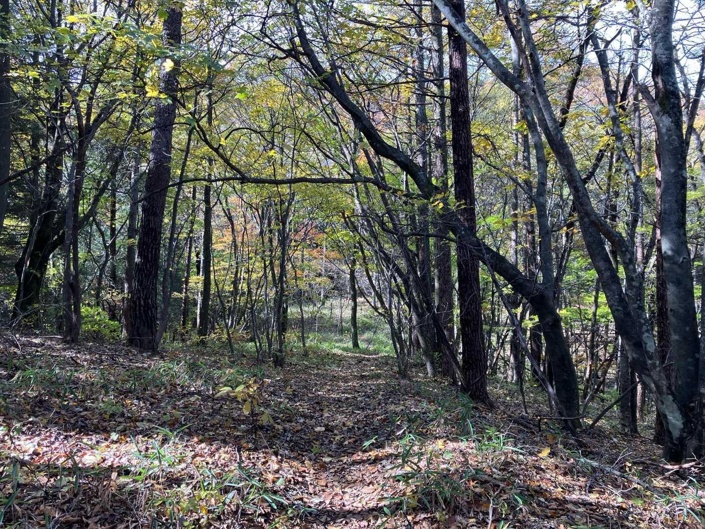 次の山頂へ