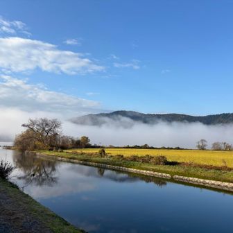 霧がかった余呉湖が幻想的