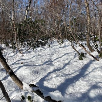 山頂へ向かいます。